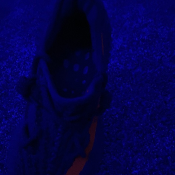 Yeezy beluga v2 - Picture 5 of 6